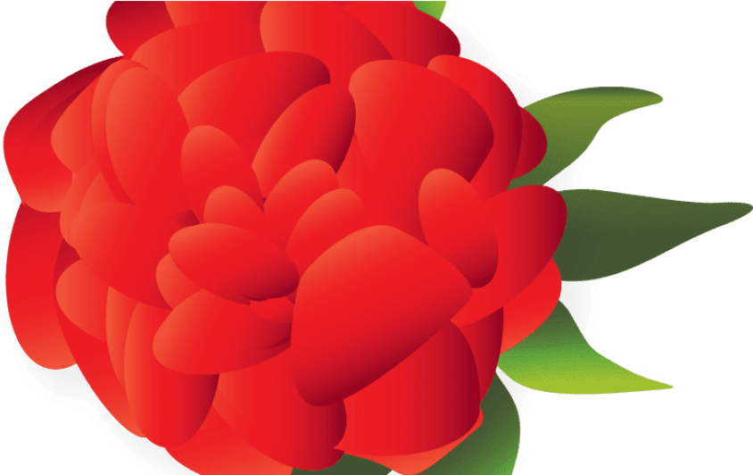 Free Png Download Mexican Flower Png Images Background - Portable Network Graphics Clipart (850x532), Png Download