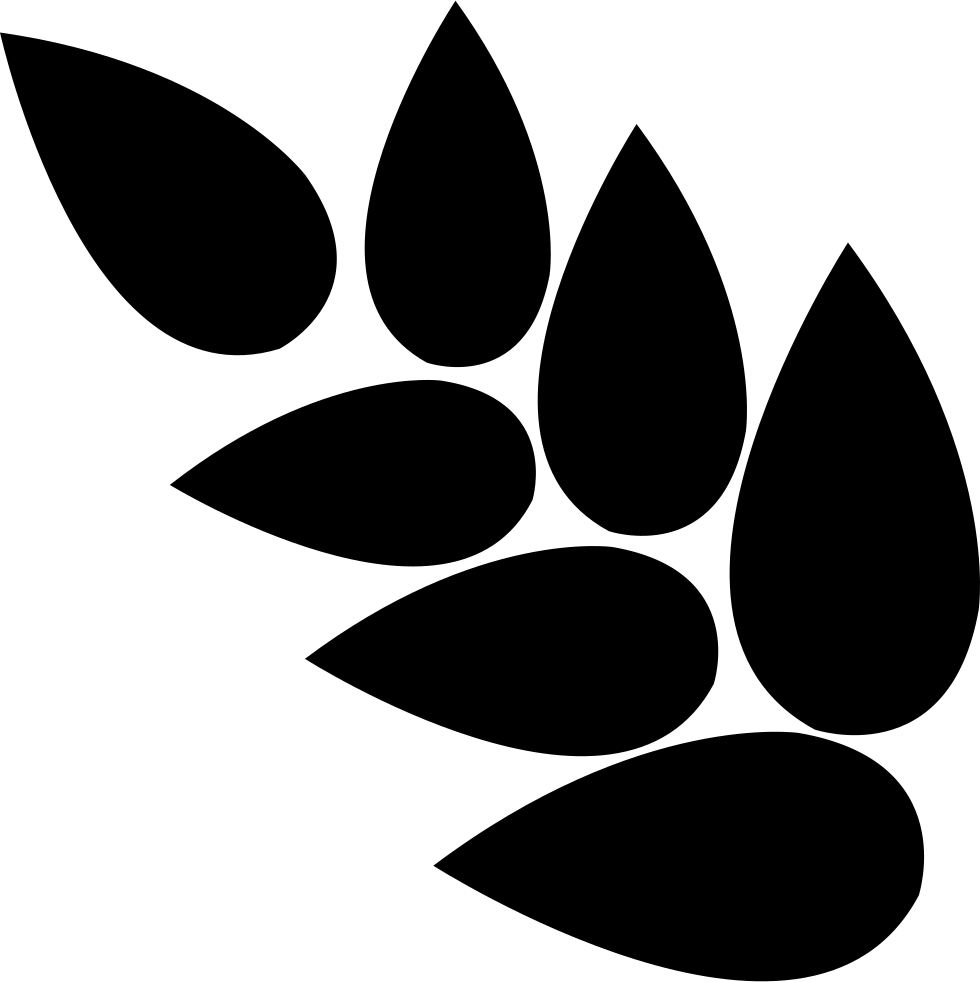 Png File Svg Clipart (980x982), Png Download