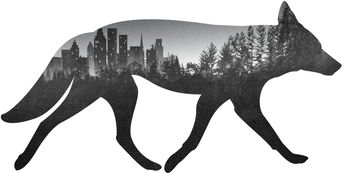 Urban Coyote Initiative, Llc - Denver Urban Coyote Clipart (1000x1000), Png Download