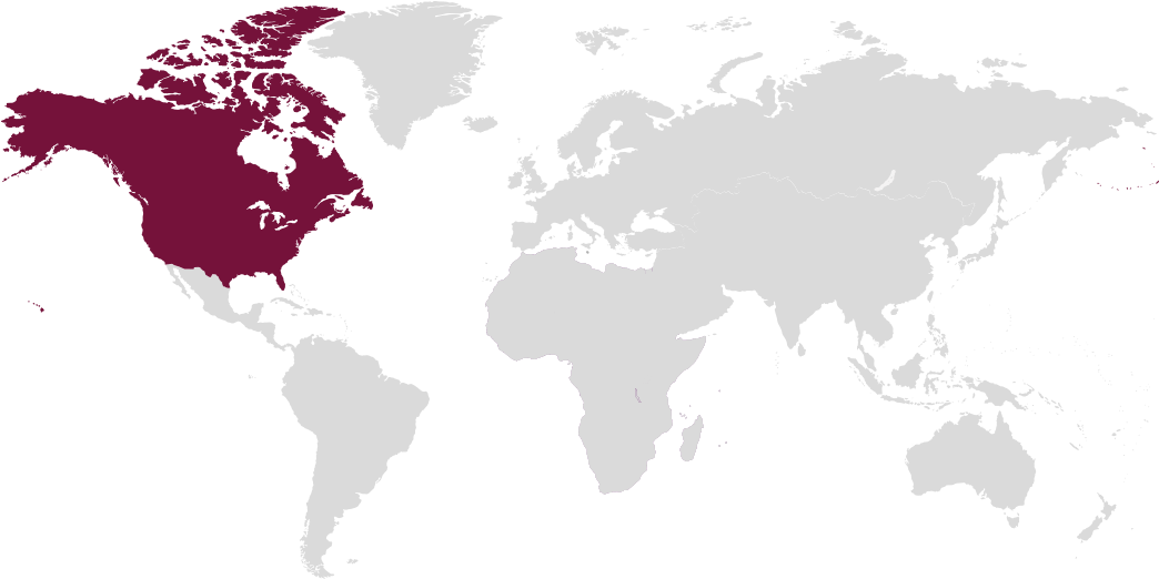 North America Map - World Map Simple Color Clipart (1400x532), Png Download