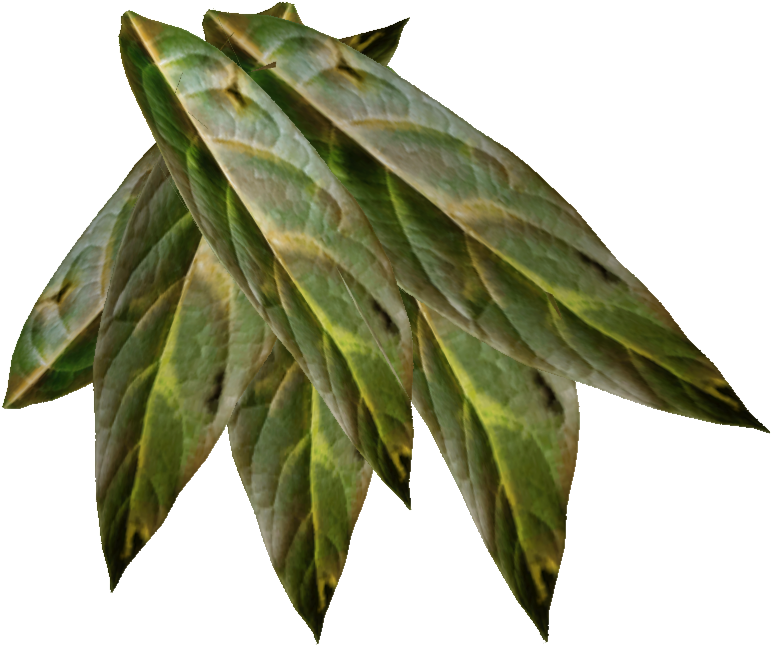 Coyote Tobacco Chew - Tobacco Clipart (800x700), Png Download