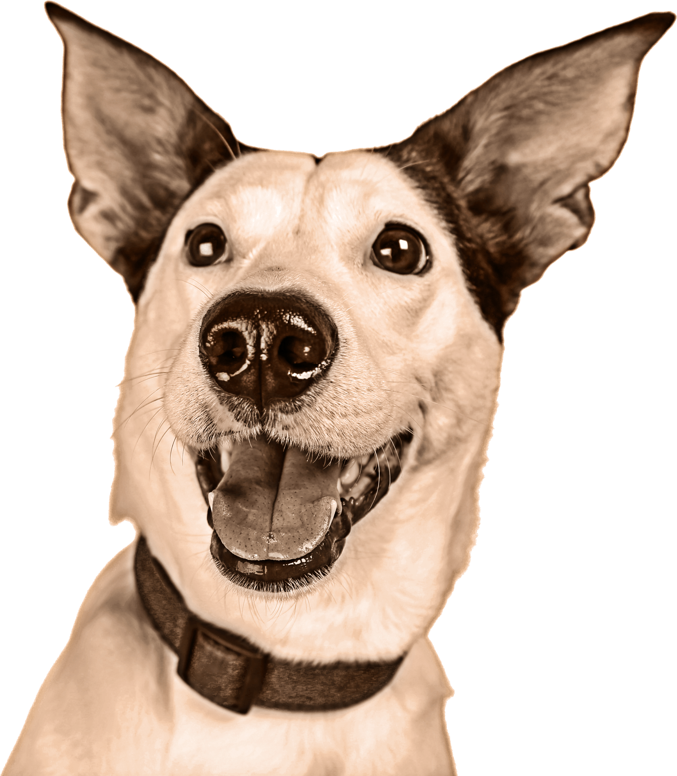 Meal Calculator , Png Download Clipart (2191x2510), Png Download