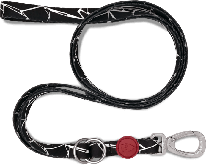 Guinzaglio Multifunzione Per Cani - Chain Clipart (882x589), Png Download