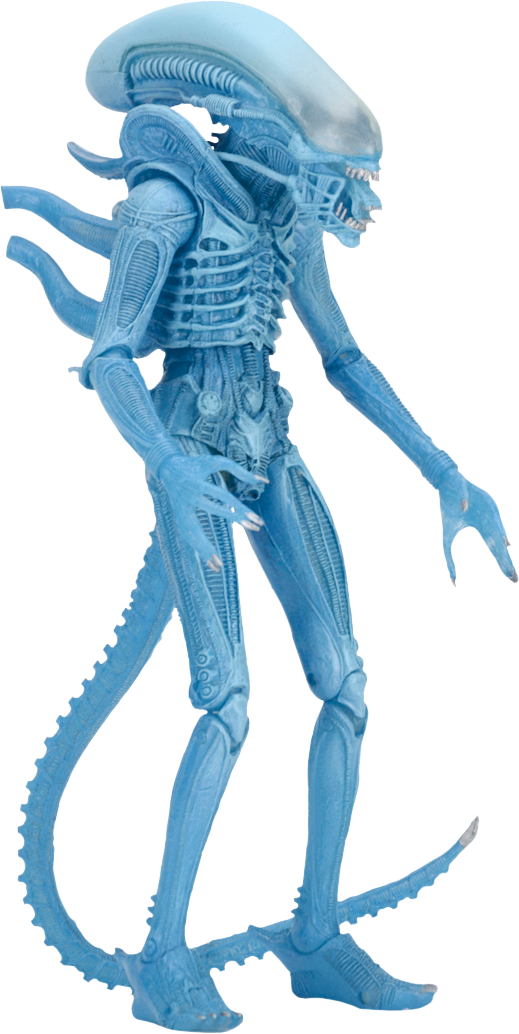 Warrior Alien Kenner Action Figure - Neca Blue Alien Warrior Clipart (519x1034), Png Download