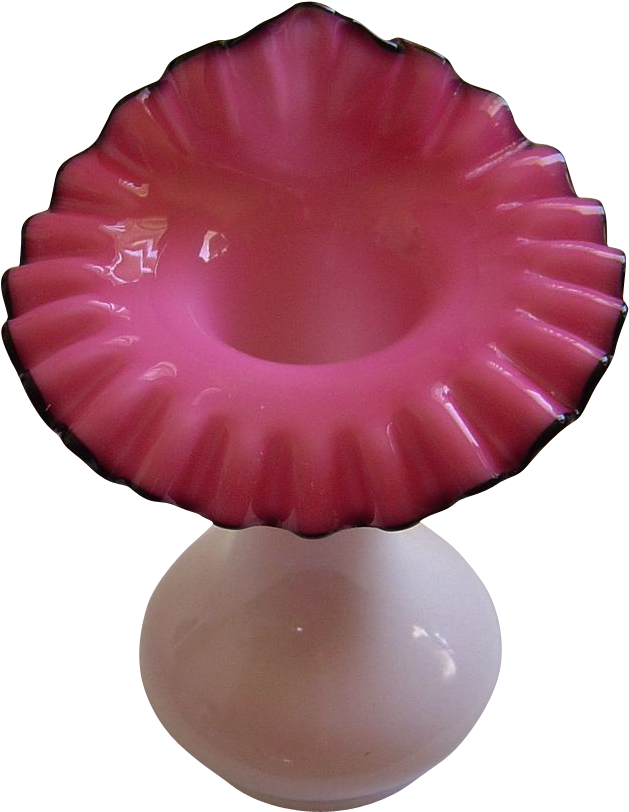 Black Rose - Jellyfish Clipart (629x812), Png Download