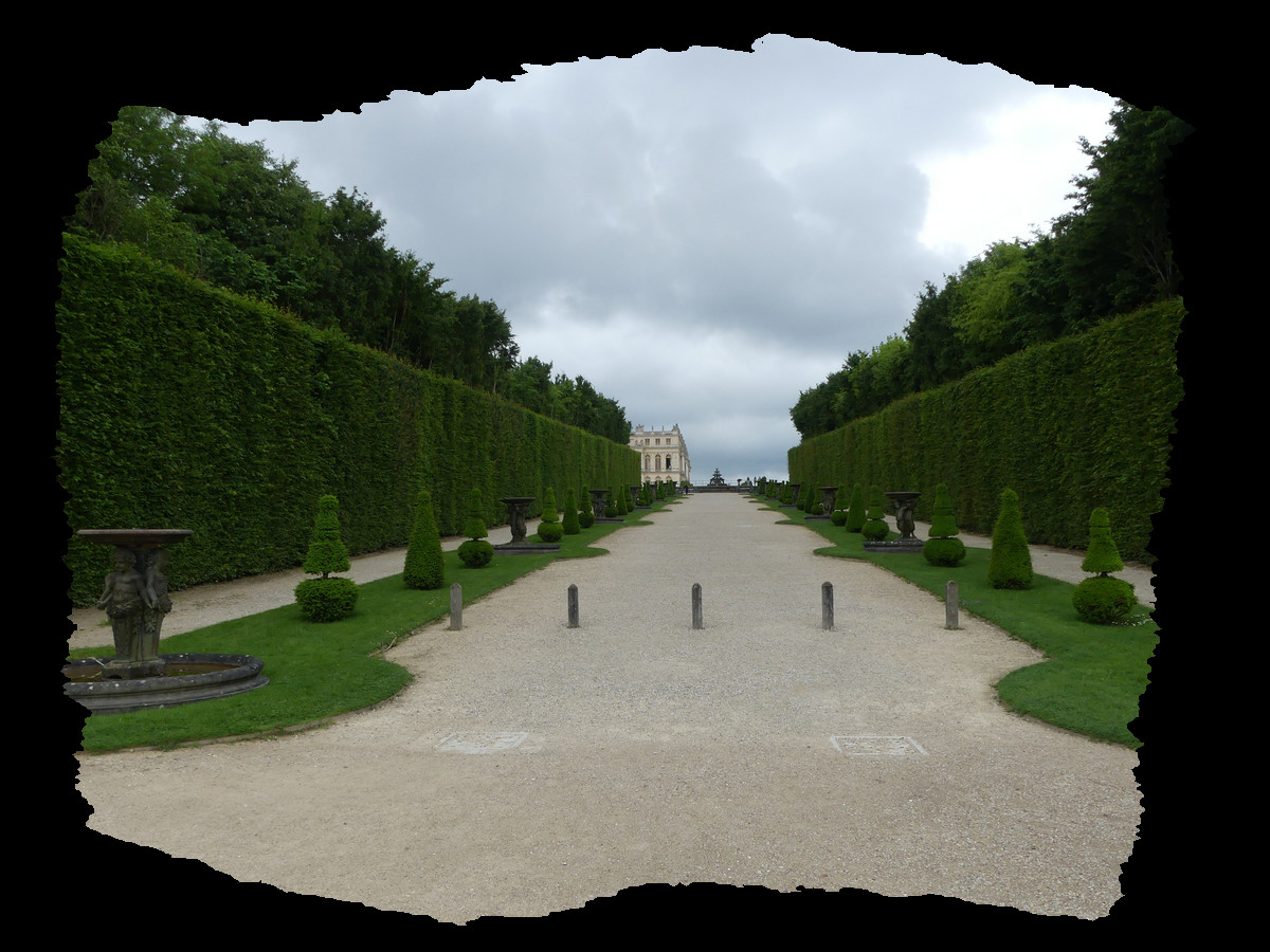 Spruce Clipart (1200x900), Png Download