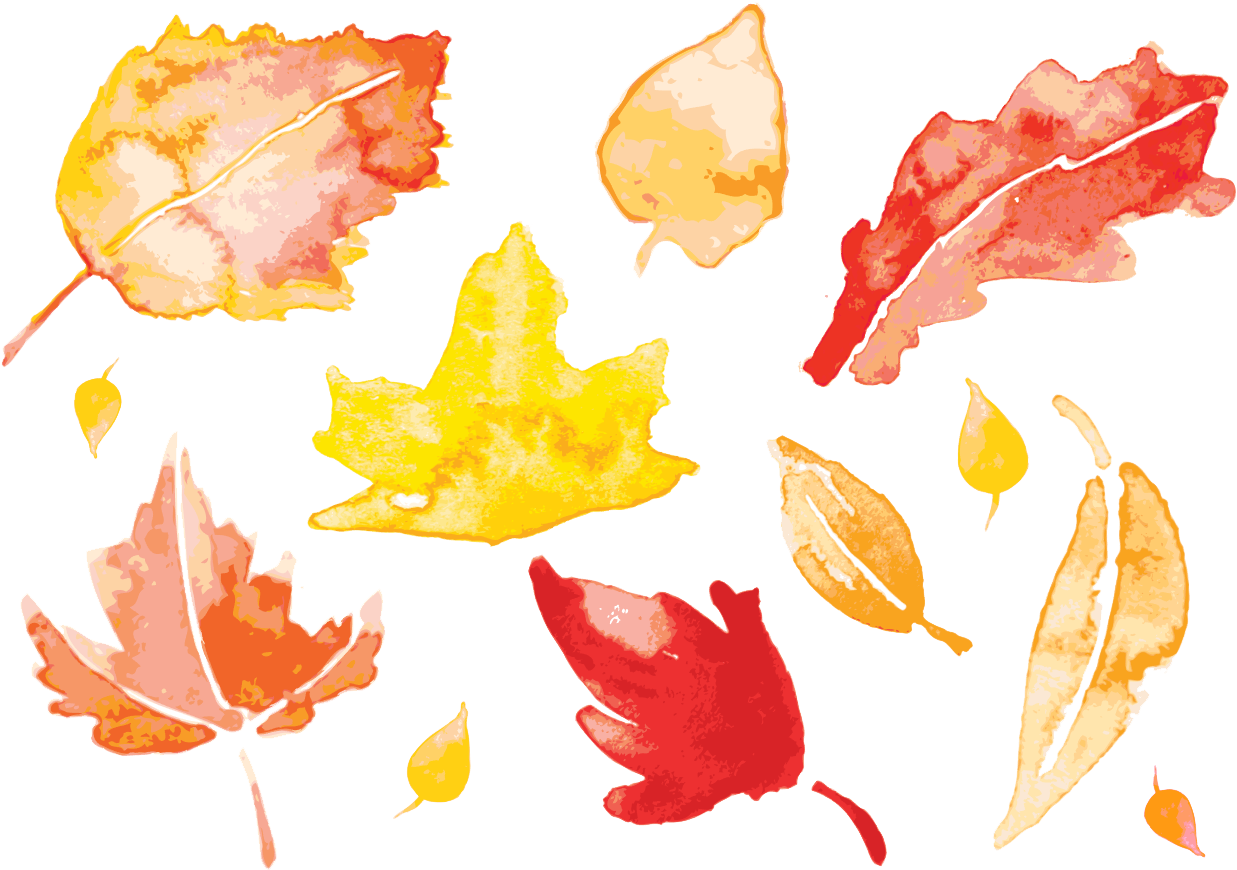 Banner Autumn Leaves Painting Leaf Transprent Png Free - Watercolor Fall Leaves Vector Clipart (1275x898), Png Download