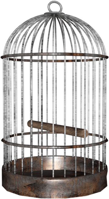 Free Png Download Bird Cage Png Images Background Png - Bird Cage Png Clipart (850x680), Png Download