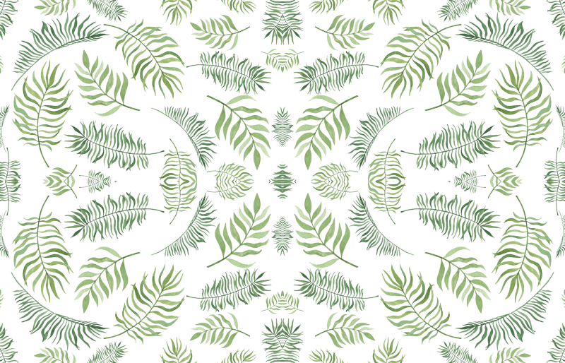 Fern Clipart (800x514), Png Download