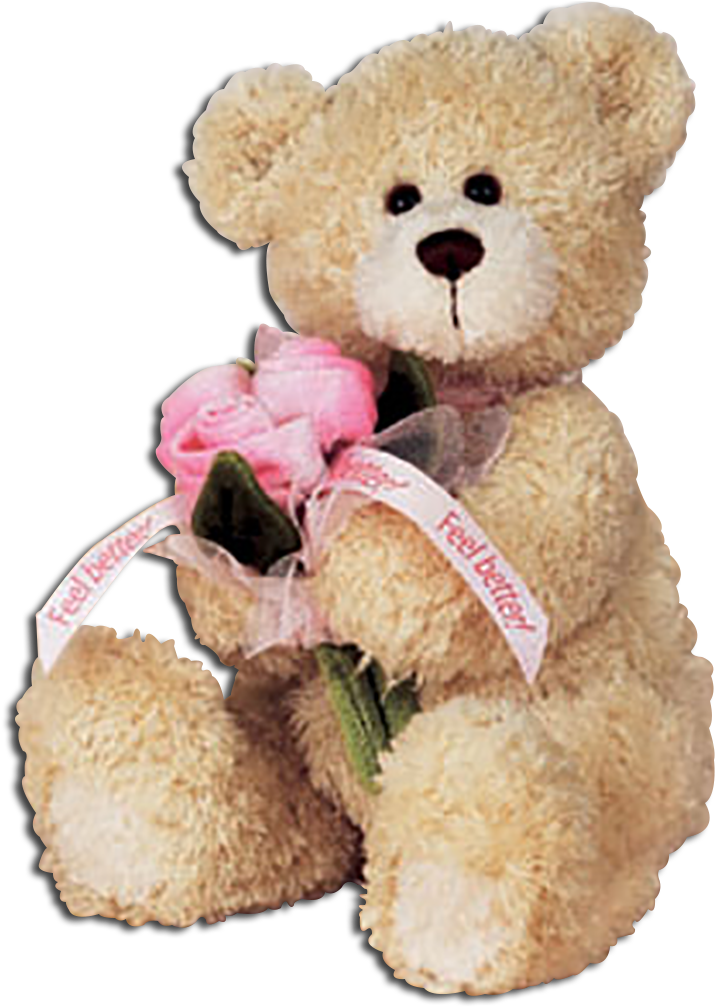 Gund Feel Better Teddy Bear With Pink Roses Clipart (715x1007), Png Download