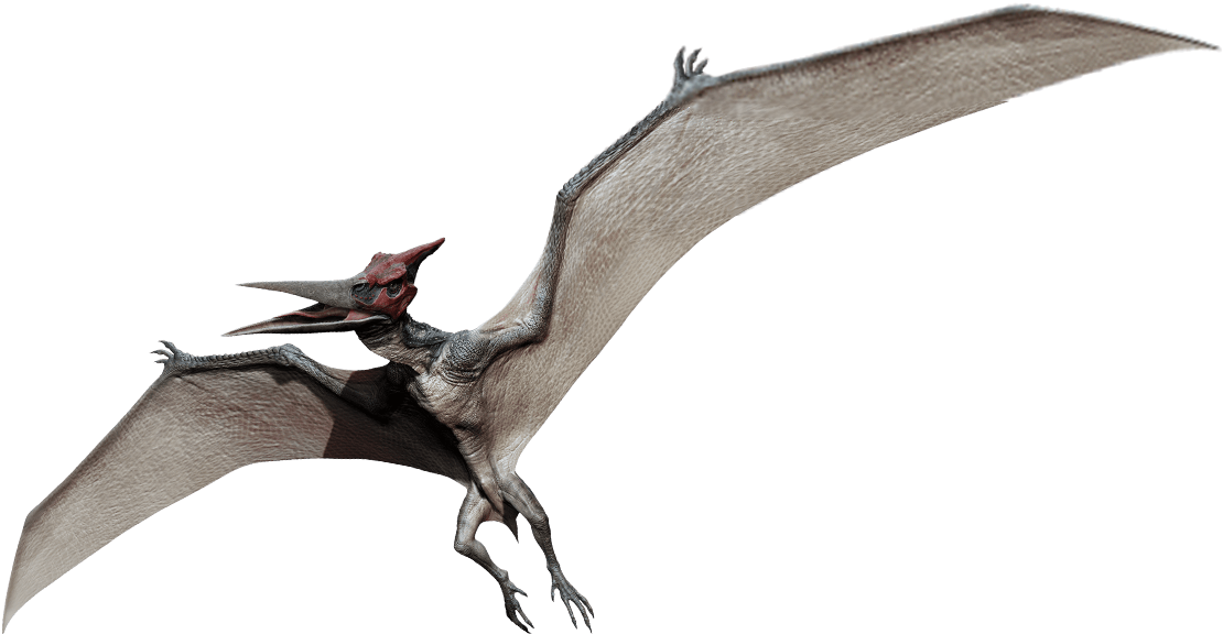 Pteranodon Jurassic Park Wiki Fandom Powered By - Jurassic World Dinosaurs Clipart (1164x672), Png Download