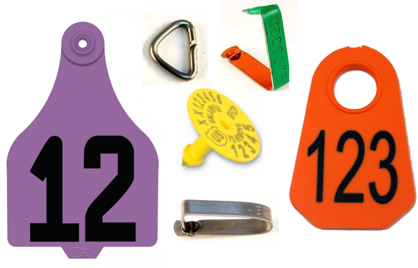 Livestock Tags - Sign Clipart (847x542), Png Download