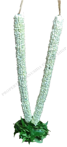 Jasmine Garland Png Hd - Earrings Clipart (600x600), Png Download