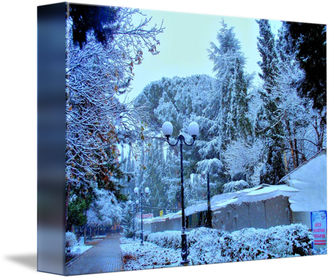 Freshly Falling Snow By - Snow Clipart (650x547), Png Download