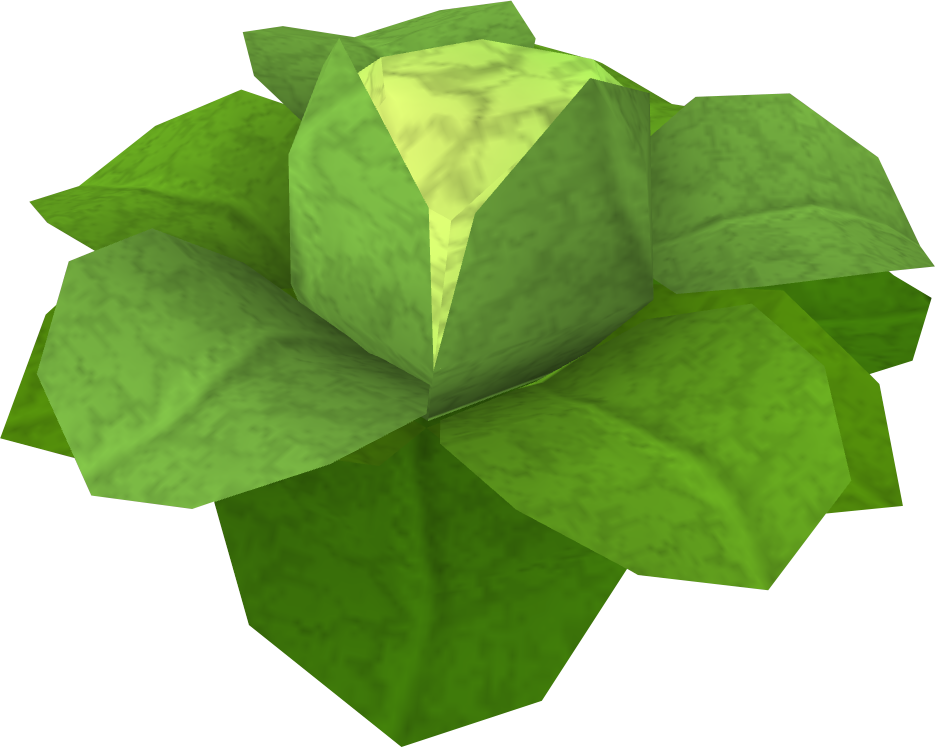 Cabbage Rs Clipart (935x747), Png Download