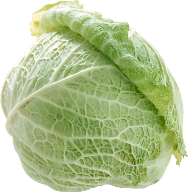 Cabbage Png Free Image Download - 菜 Clipart (600x613), Png Download