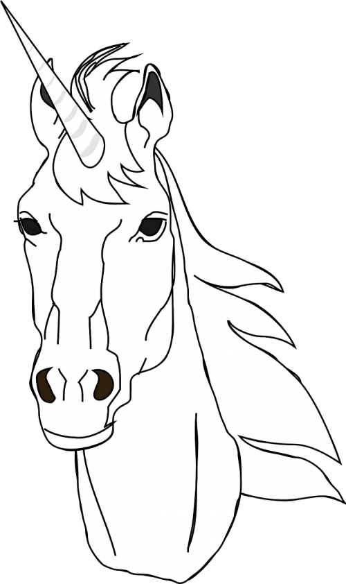 Vector Graphics - Cabeça De Unicornio Desenho Png Clipart (500x842), Png Download