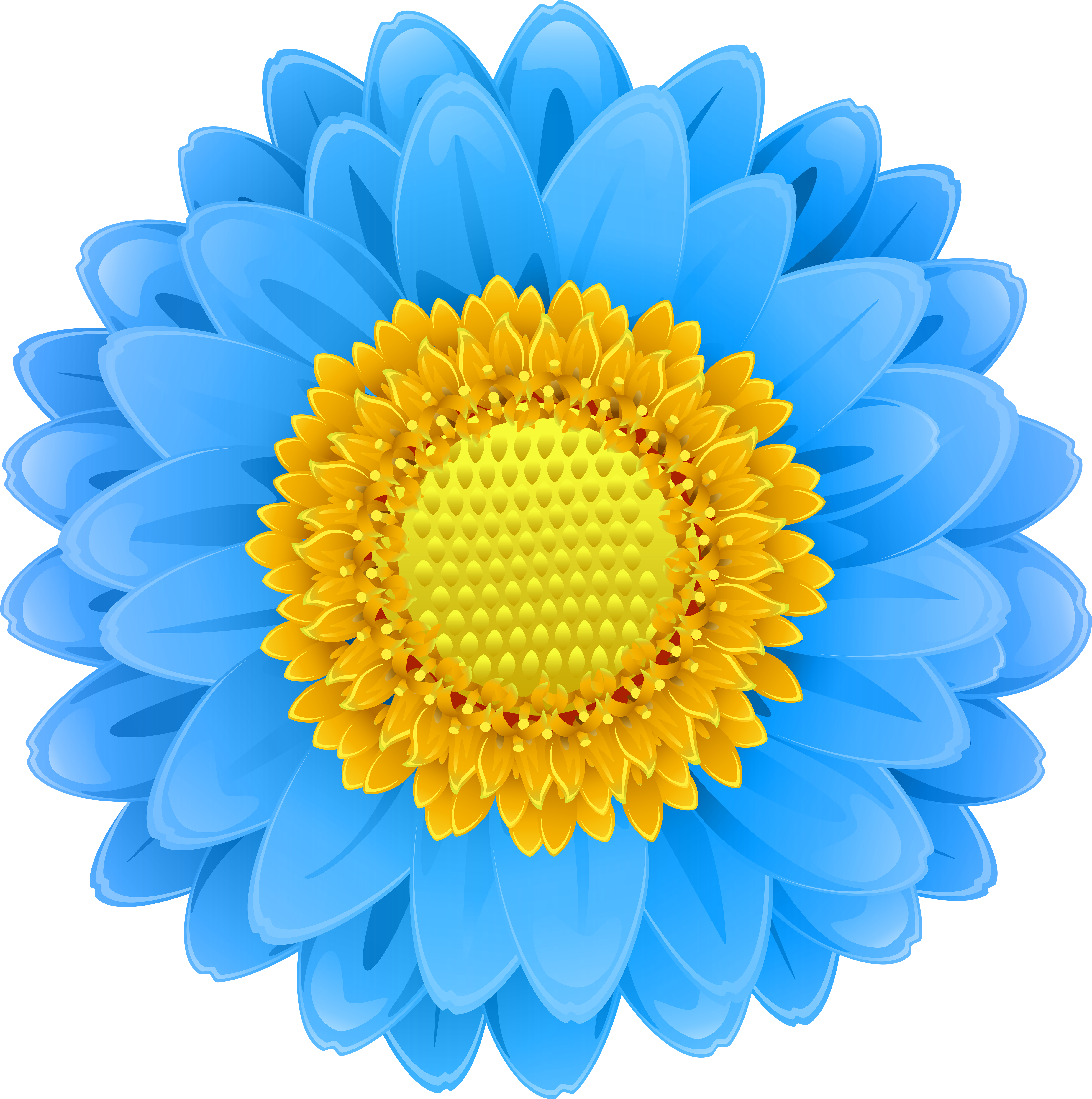 Blue Flower Clip Art Png Image - Orange Flowers Clipart Transparent Png (5961x6000), Png Download