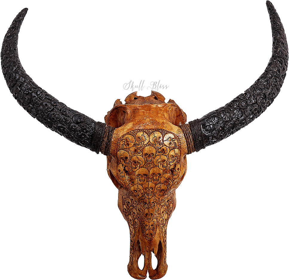 Carved Buffalo Skull // Carved Horns - Horn Clipart (1000x1000), Png Download