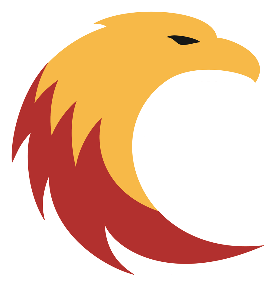 Bald Eagle Clipart (1024x1024), Png Download