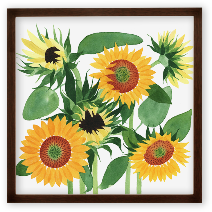 Sunflowers Art Print , Png Download - Sunflower Clipart (730x729), Png Download