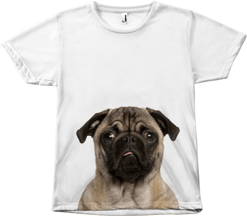 The Pug - Cash Me Outside Howbow Dah Tshirt Clipart (1024x1024), Png Download