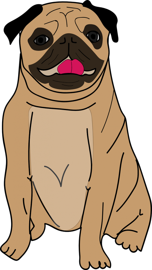 Pug Clipart Puggle - Names For Pug Male - Png Download (500x883), Png Download