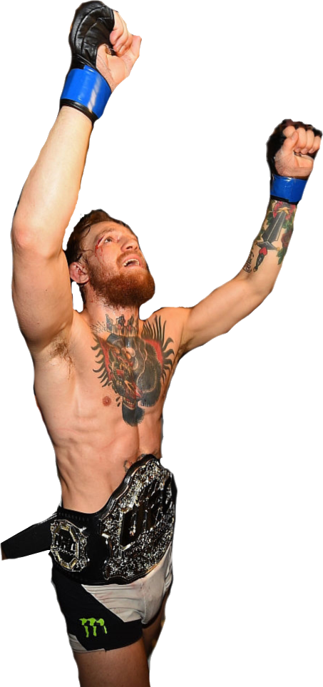 Transparent Conor Mcgregor Png Clipart (453x963), Png Download