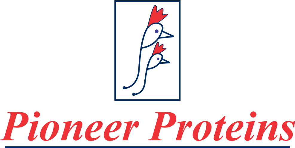 Brazil For Christ Pentecostal Church Clipart (987x497), Png Download