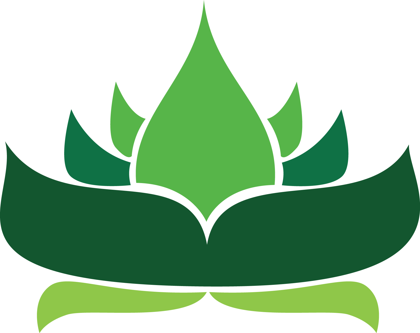 Lotus Pattern Clipart (1708x1355), Png Download