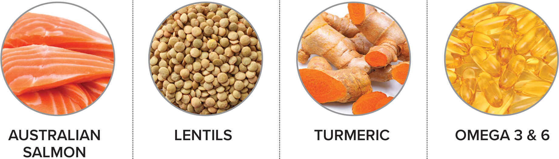 Salmon-ingredients Clipart (2000x524), Png Download