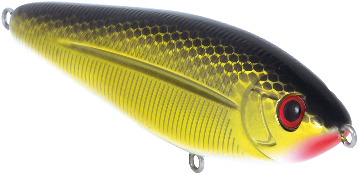 Bait Fish Clipart (1200x900), Png Download