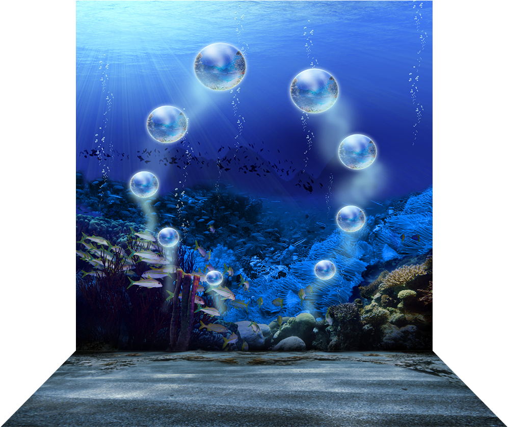 3 Dimensional View Of - Coral Reef Clipart (1000x1000), Png Download