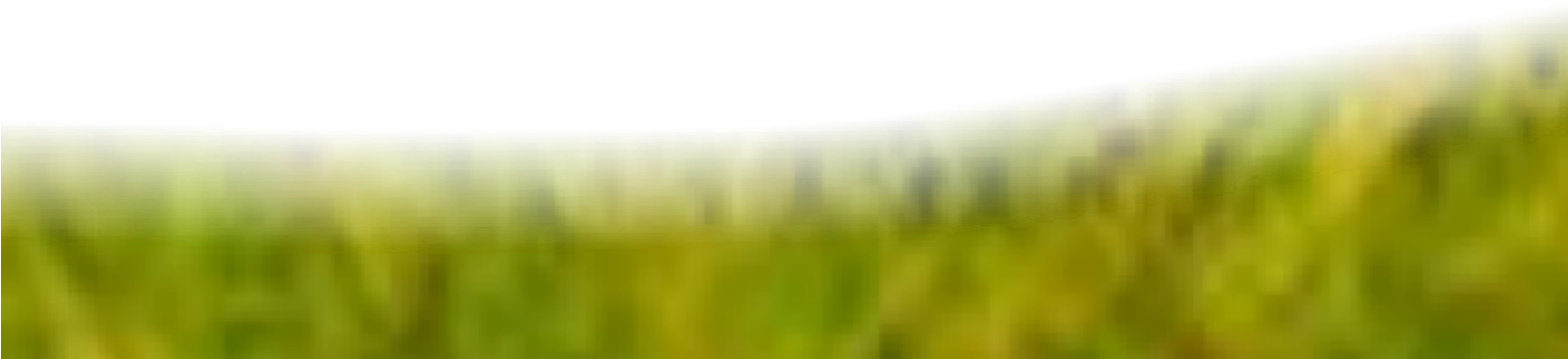 Then Click The Download Button - Grass Clipart (1600x1064), Png Download