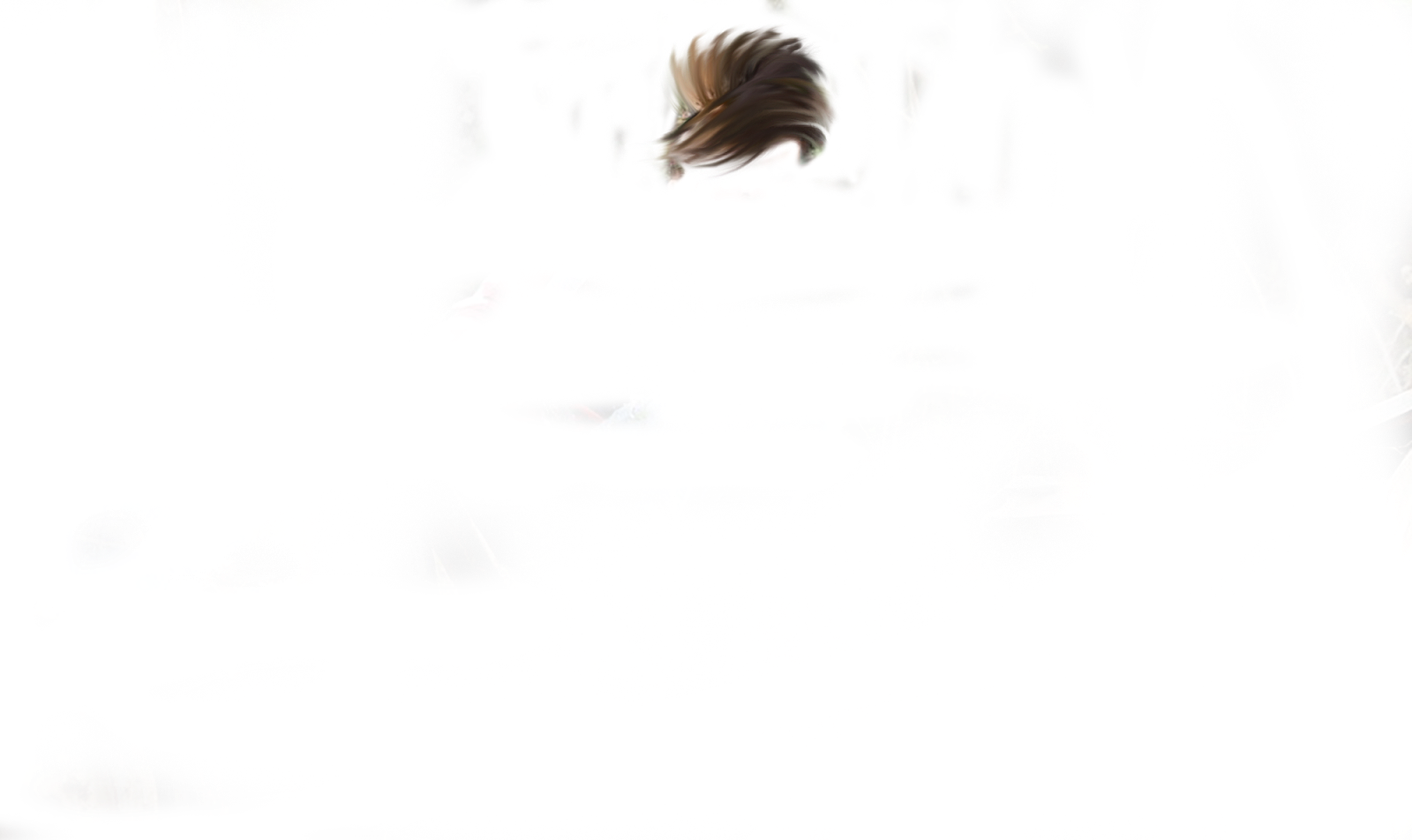 Png Hair Preview - Skunk Clipart (1600x952), Png Download