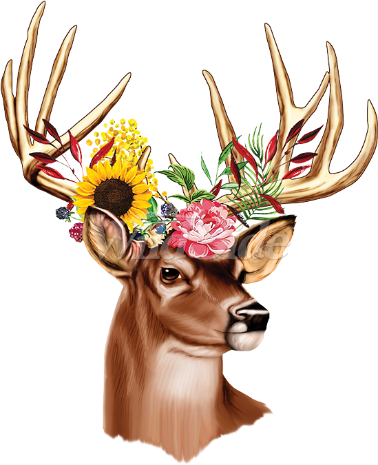 Deer With Flowers In Antlers - Elk Clipart (675x675), Png Download