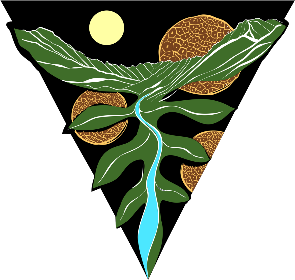 Tree Roots Png Clipart (1000x963), Png Download