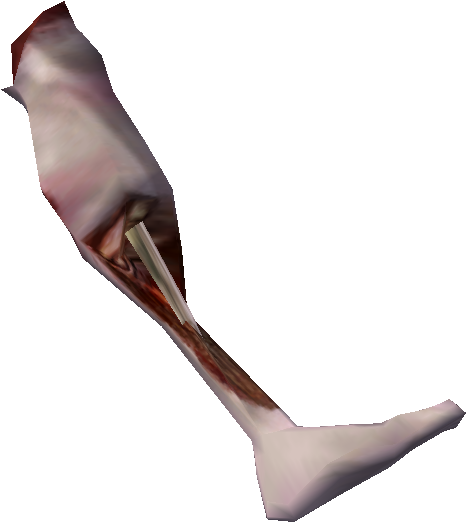 Severed Nord Leg - Morrowind Nord Leg Clipart (594x648), Png Download