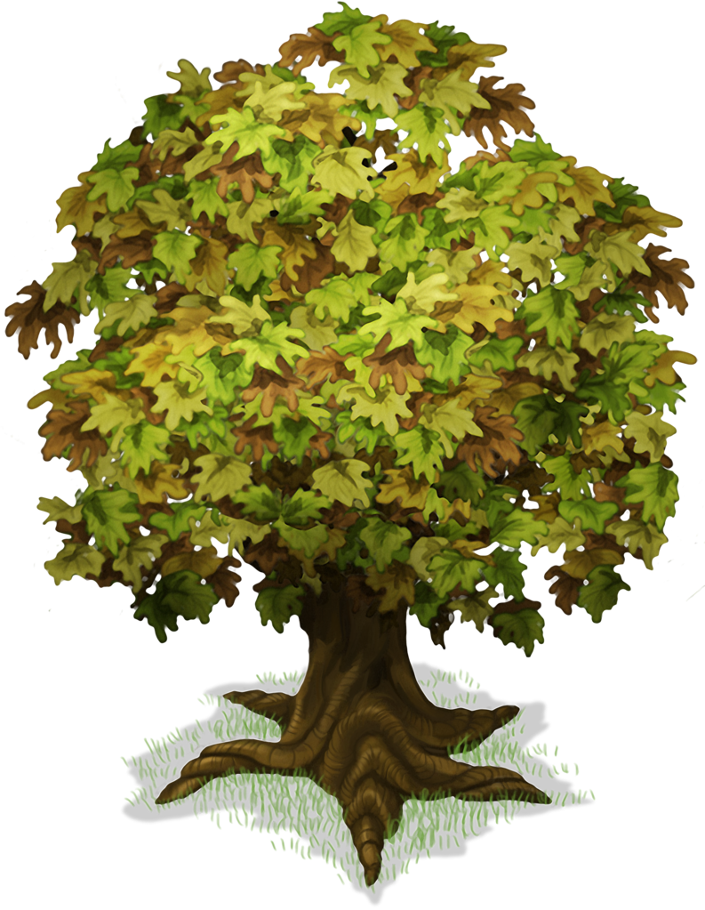 Maple Tree Png - Big Trunk Tree Png Clipart (793x1023), Png Download