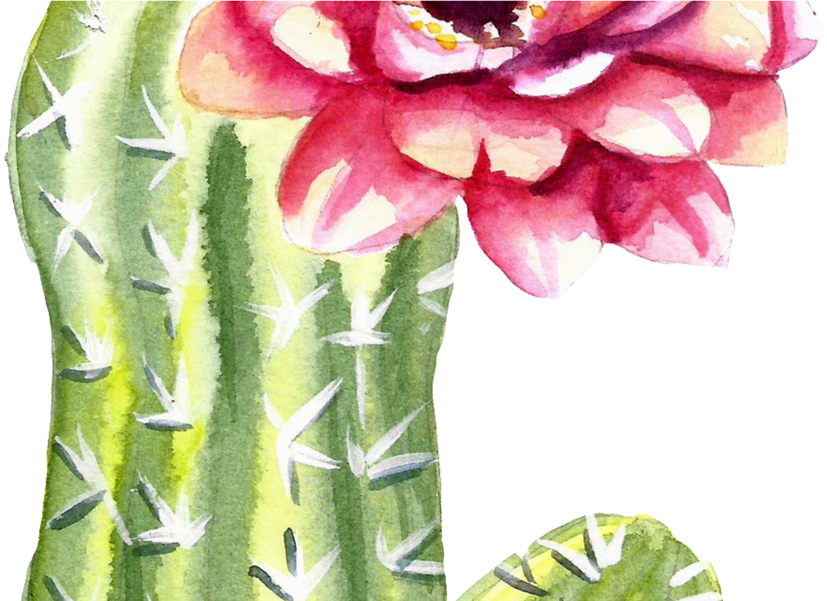 Green Watercolor Hand Painted Cactus Flower Transparent - Watercolor Cartoon Cactus Transparent Clipart (1177x856), Png Download