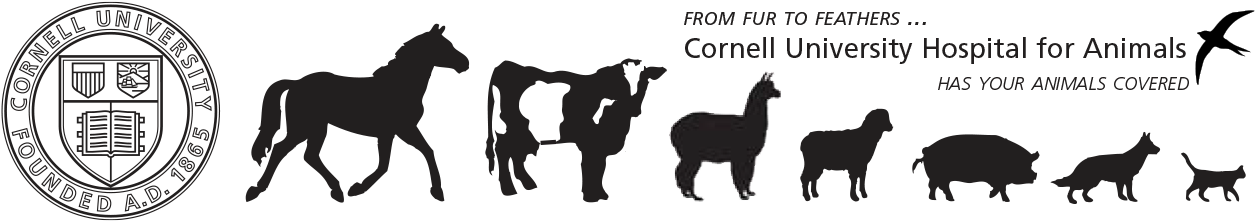 Cornellhospitalanimals - Silhouette Clipart (1313x264), Png Download