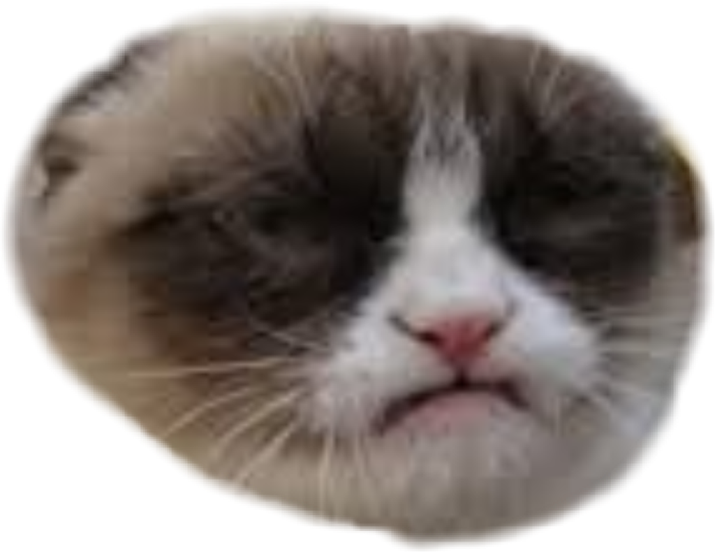 Memes Sticker - Oh Whoopty Freakin Do Clipart (1024x790), Png Download