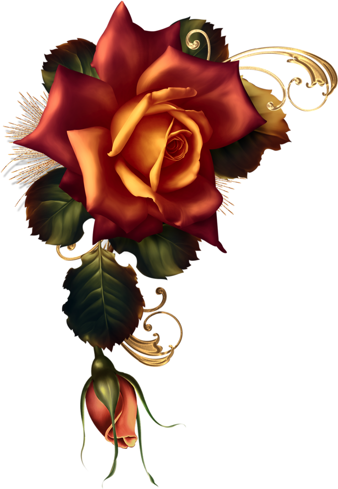 November Embers - Garden Roses Clipart (707x1024), Png Download