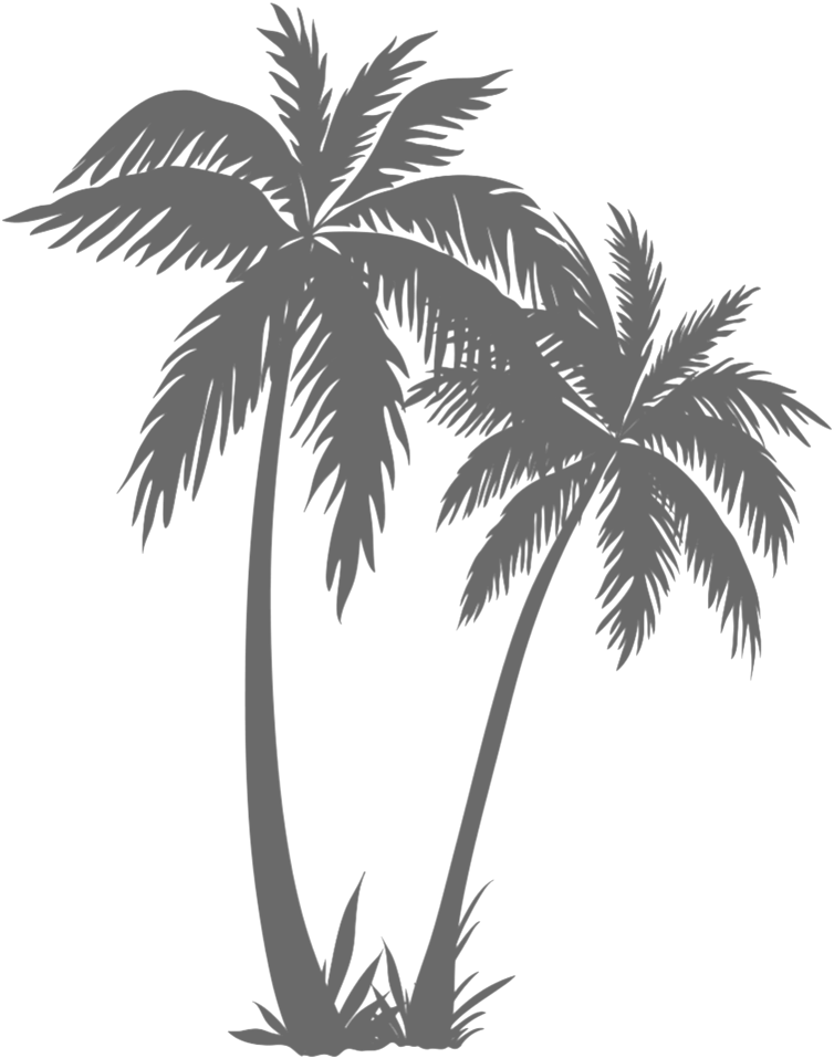Palms Png Clipart (1000x1000), Png Download