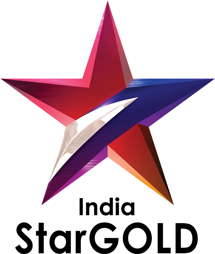 Star Gold Usa - Star Gold Clipart (800x960), Png Download
