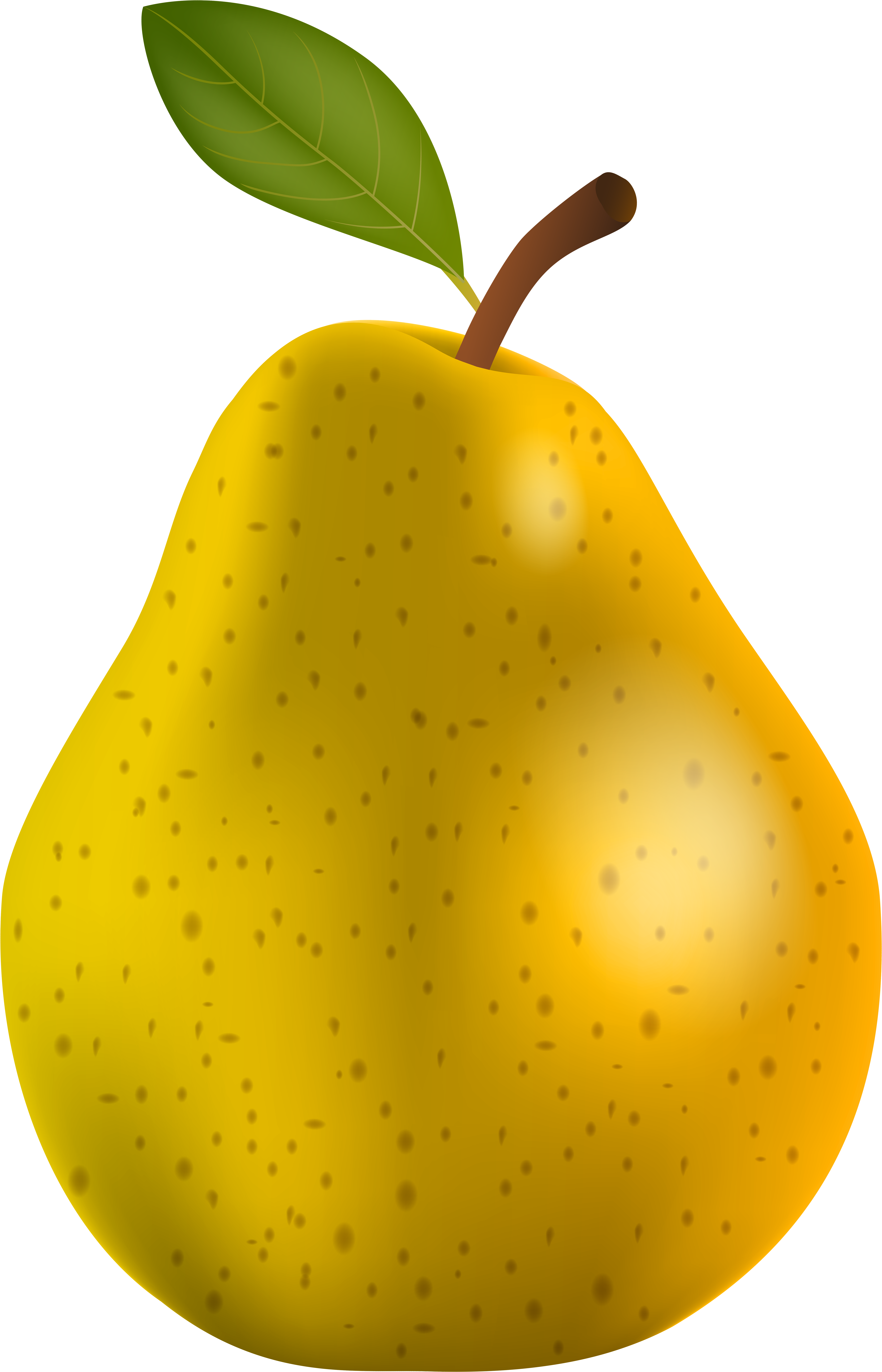 Free Png Pear Png - Clip Art Of Pear Transparent Png (480x741), Png Download