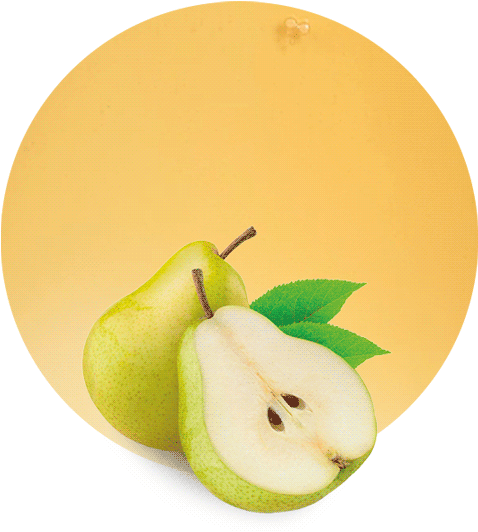 Com/wp Concentrate - Asian Pear Clipart (536x595), Png Download