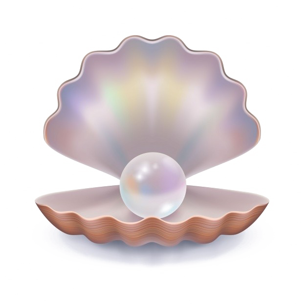 Pearl Download Png Image - Pearl Transparent Background Clipart (626x626), Png Download