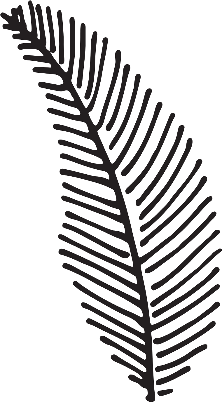 Kayla And Chris Fern Forest Nature Center Weddingwedding - Fern Clipart (761x1377), Png Download