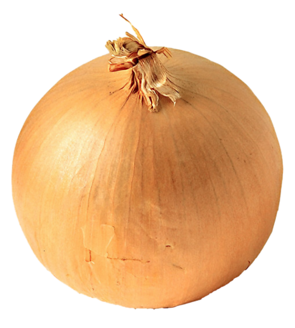 Onion Png Free Download - White Onion Clipart (600x666), Png Download